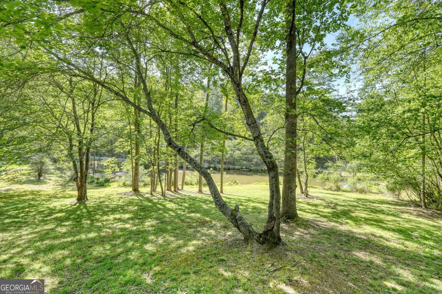1493 Greasy Creek Road Property Photo 35