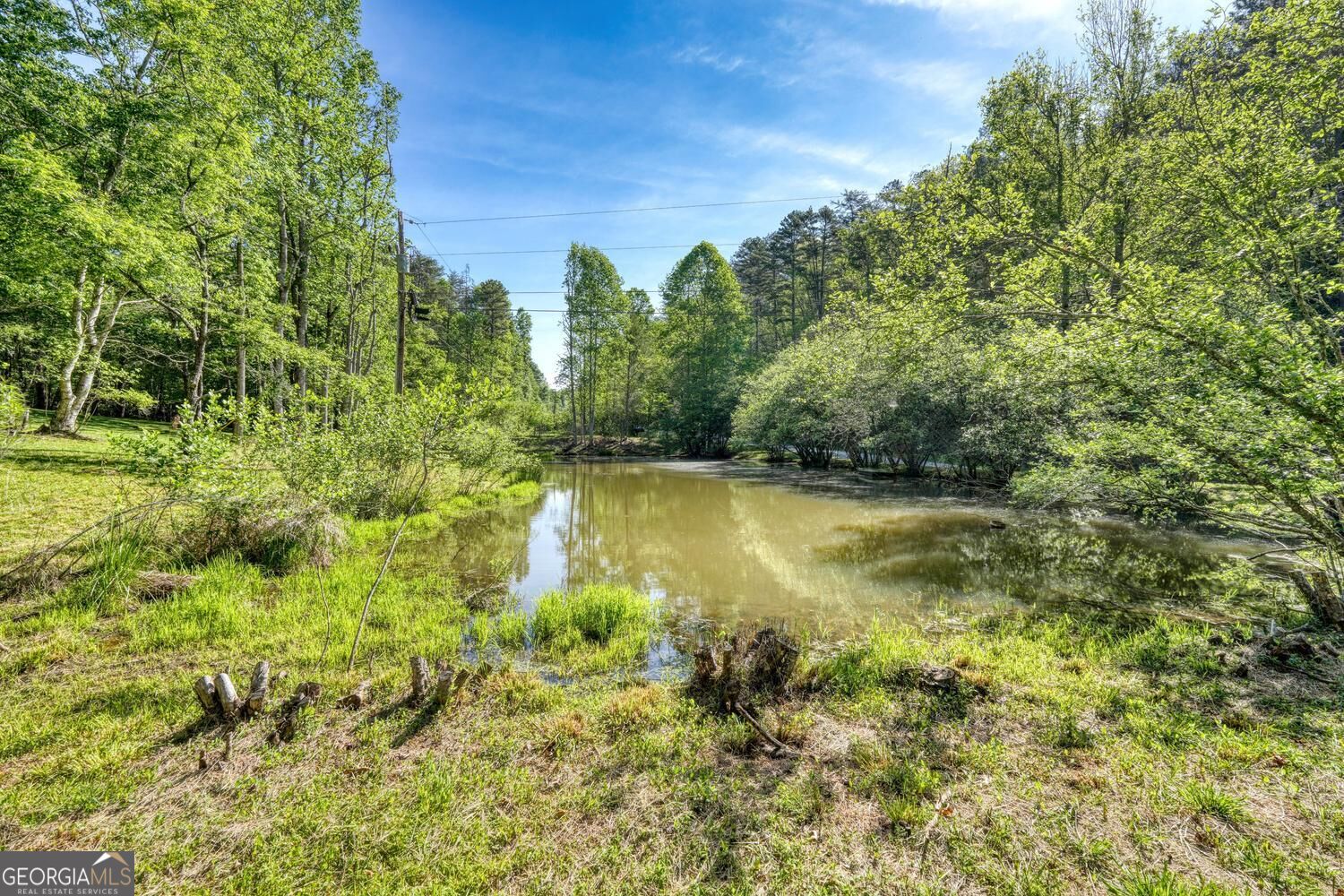 1493 Greasy Creek Road Property Photo 37