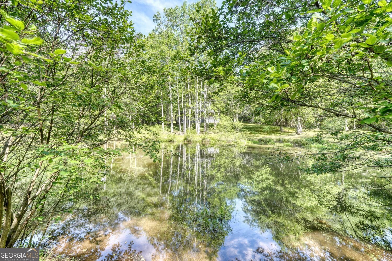 1493 Greasy Creek Road Property Photo 38