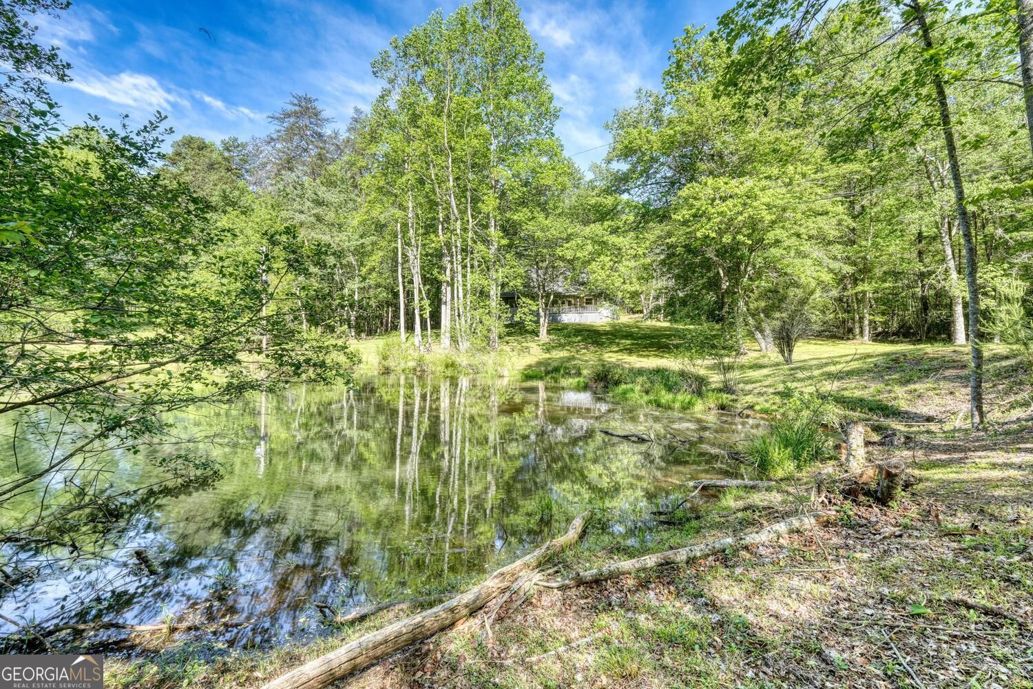 1493 Greasy Creek Road Property Photo 39