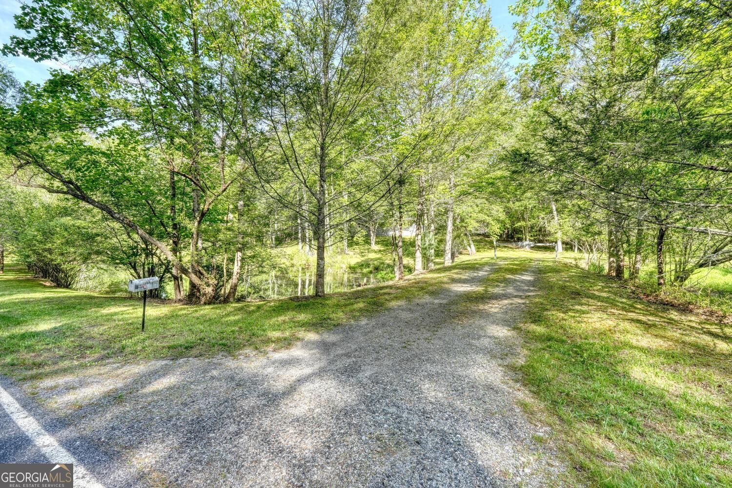 1493 Greasy Creek Road Property Photo 40
