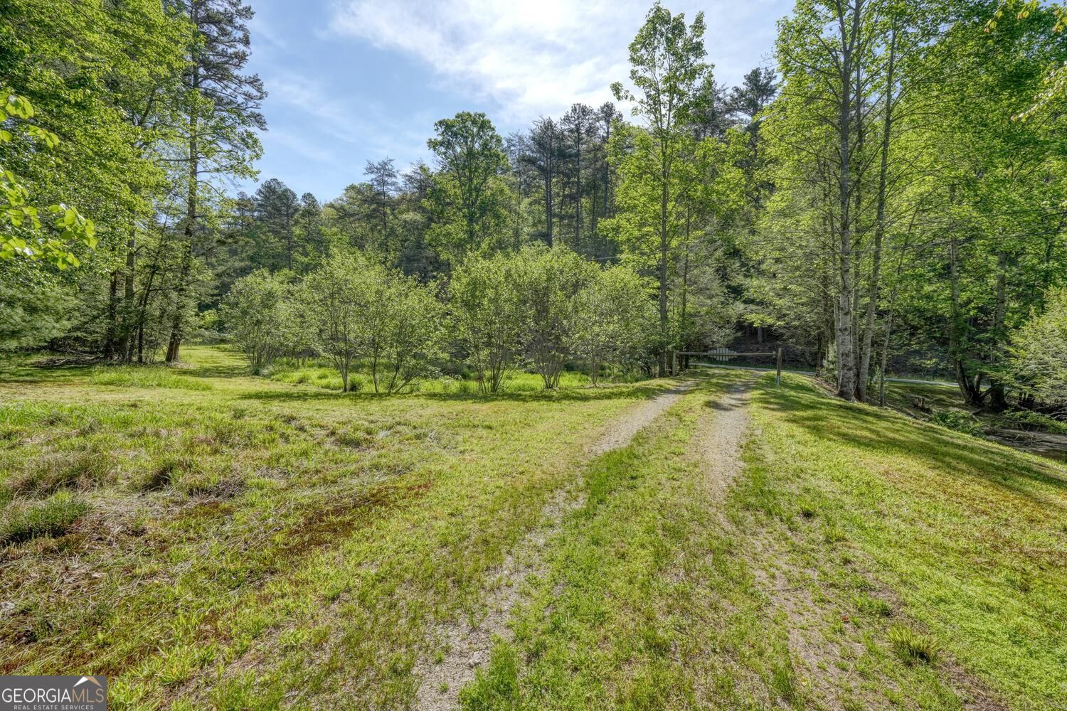 1493 Greasy Creek Road Property Photo 51