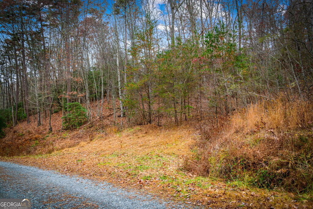 1.5 Acre Bullen Gap Road Property Photo 51