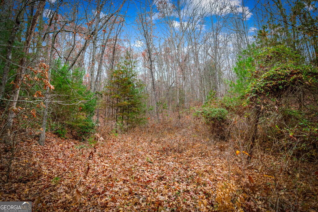 1.5 Acre Bullen Gap Road Property Photo 53