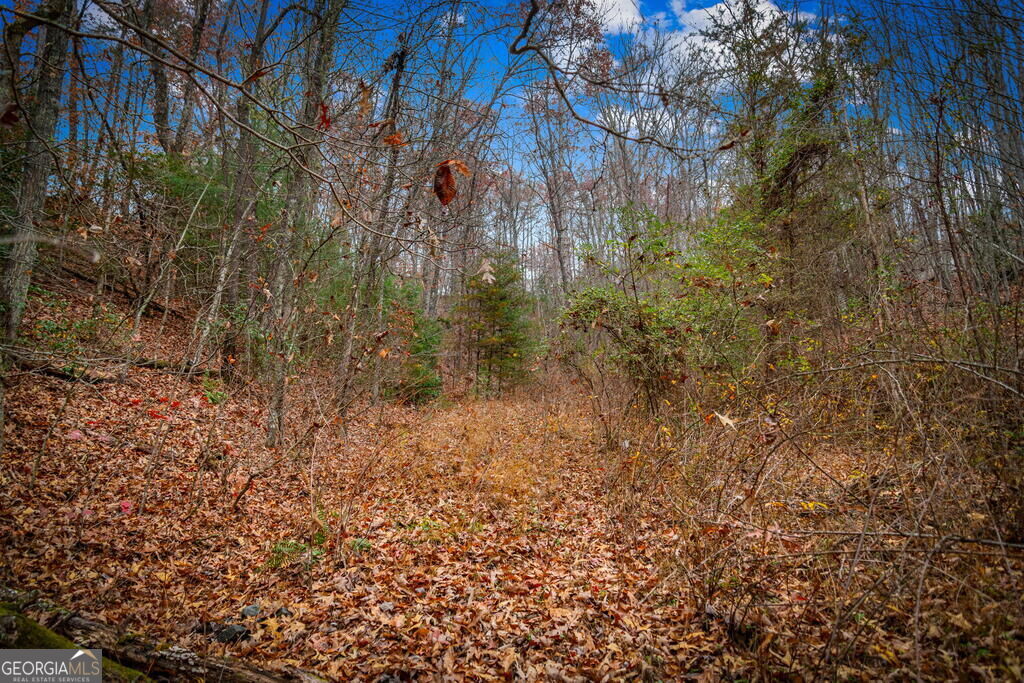 1.5 Acre Bullen Gap Road Property Photo 54