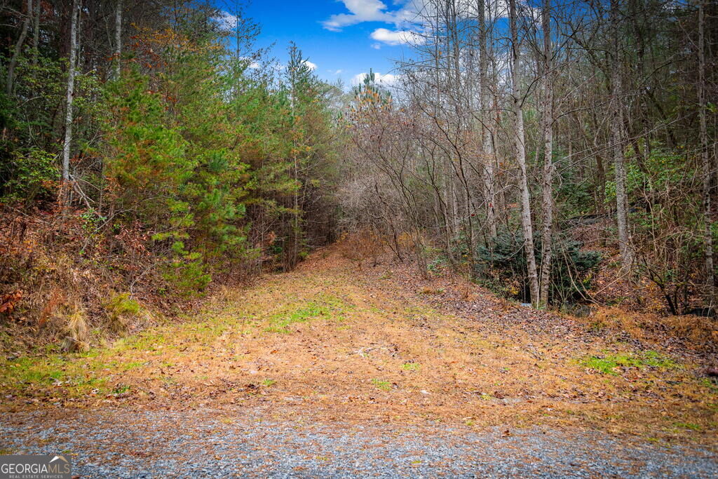 1.5 Acre Bullen Gap Road Property Photo 56