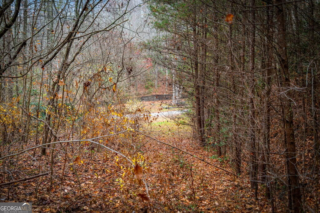 1.5 Acre Bullen Gap Road Property Photo 58