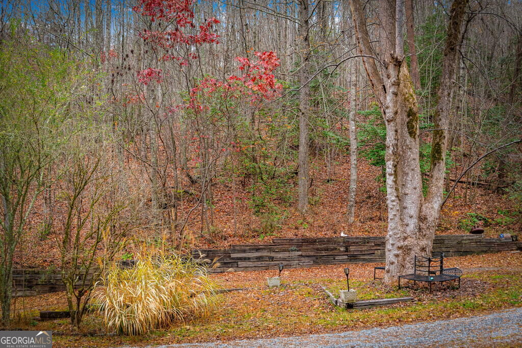 1.5 Acre Bullen Gap Road Property Photo 59