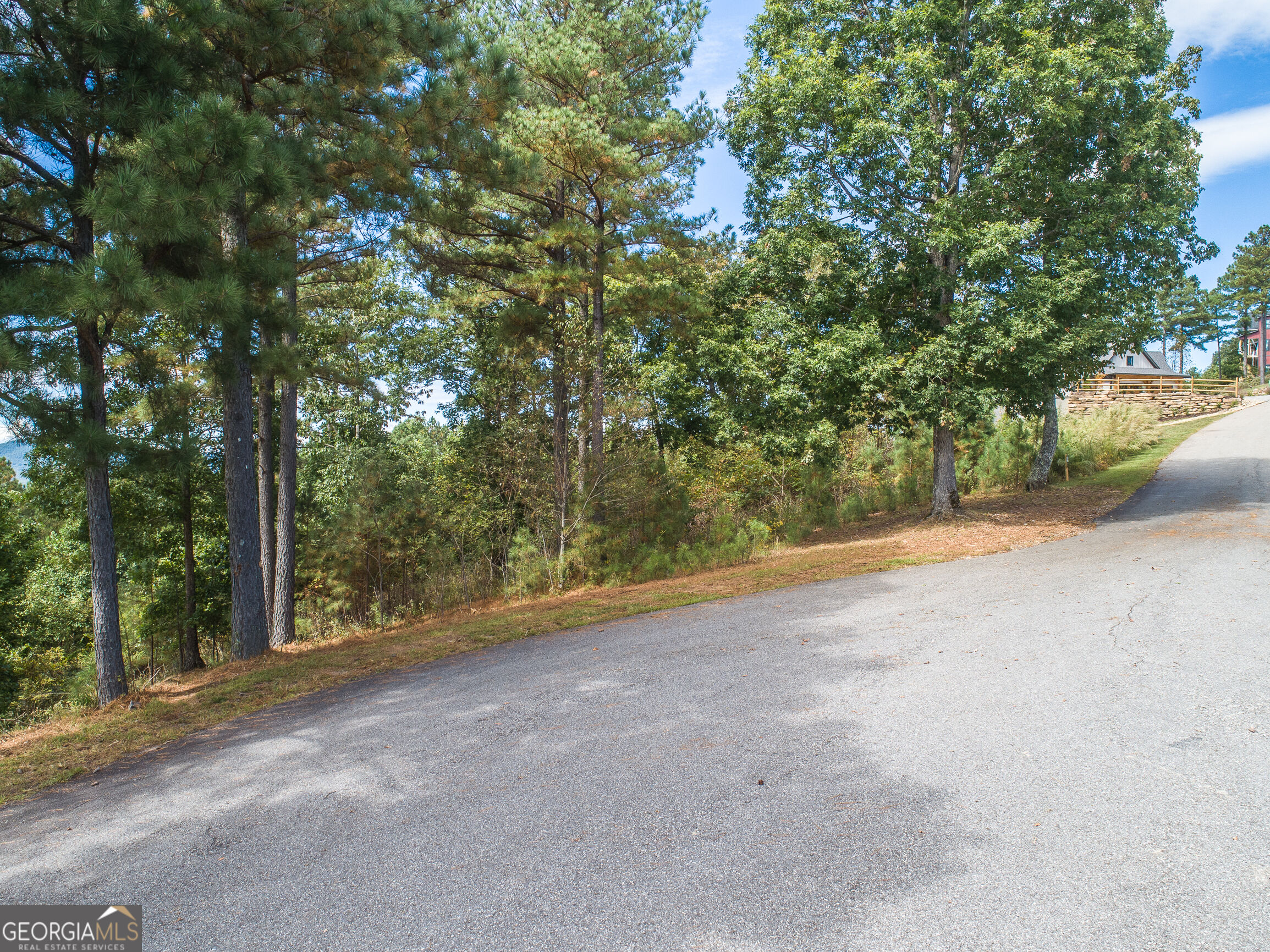 LOT 14 Mile High Lane Property Photo 1