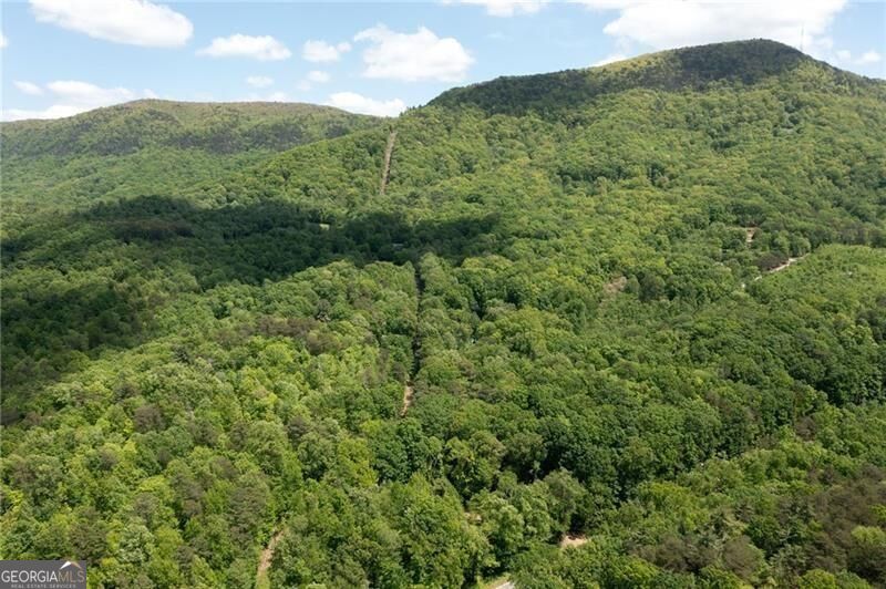 2471 52 Highway Property Photo 8