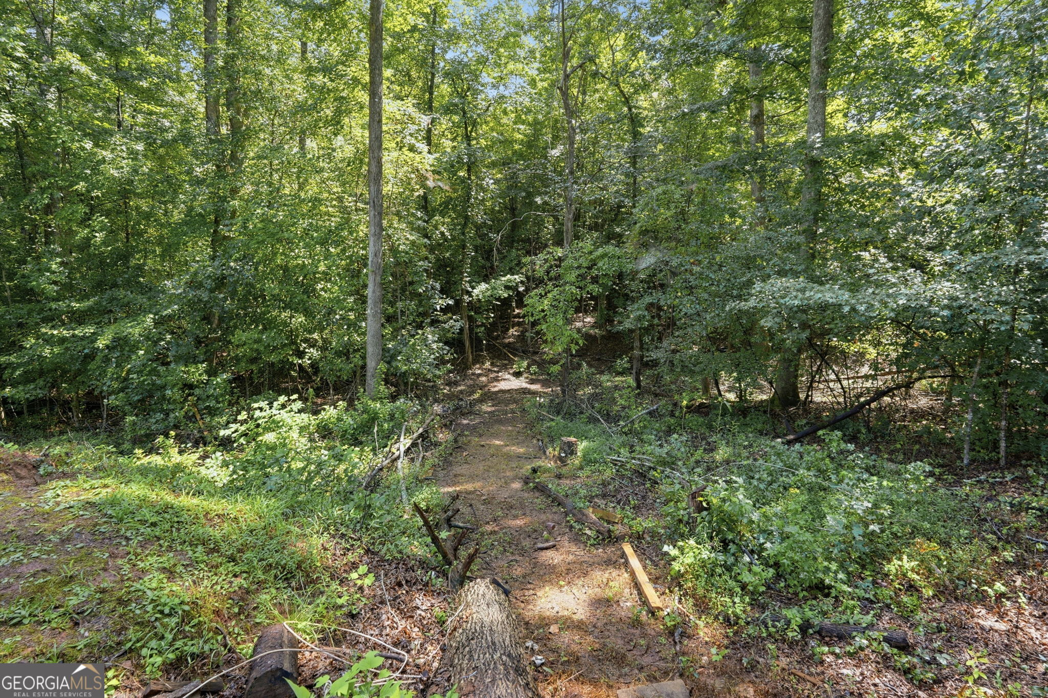 5387 Auraria Road Property Photo 25