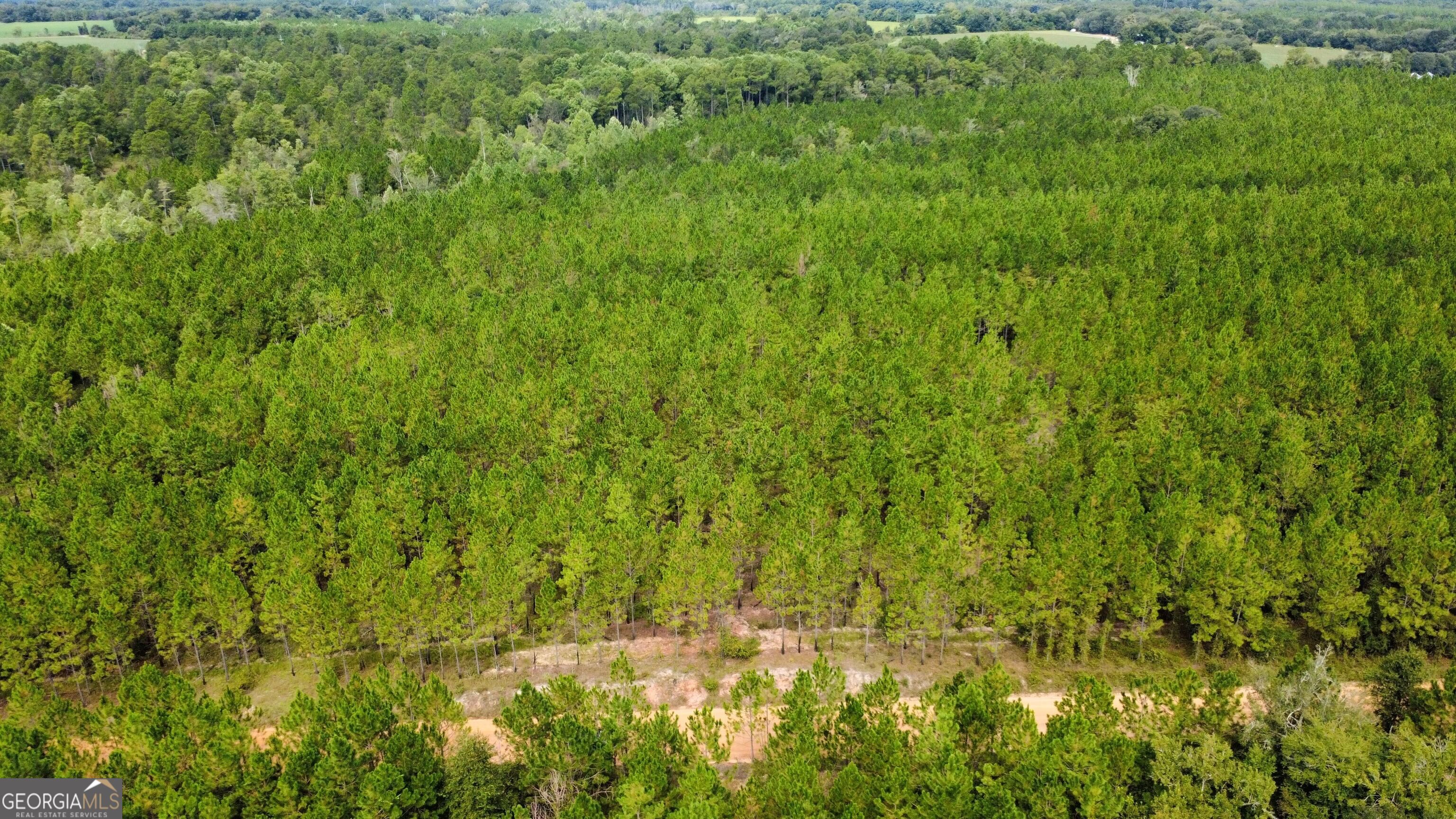 Tract 6 Sunflower Road Property Photo 5