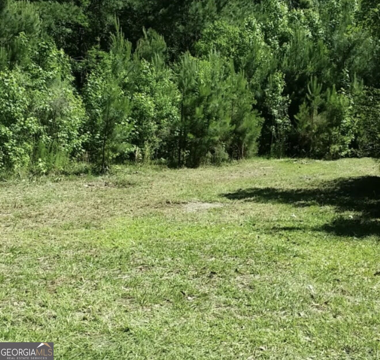 221 Turtle Drive Property Photo 1