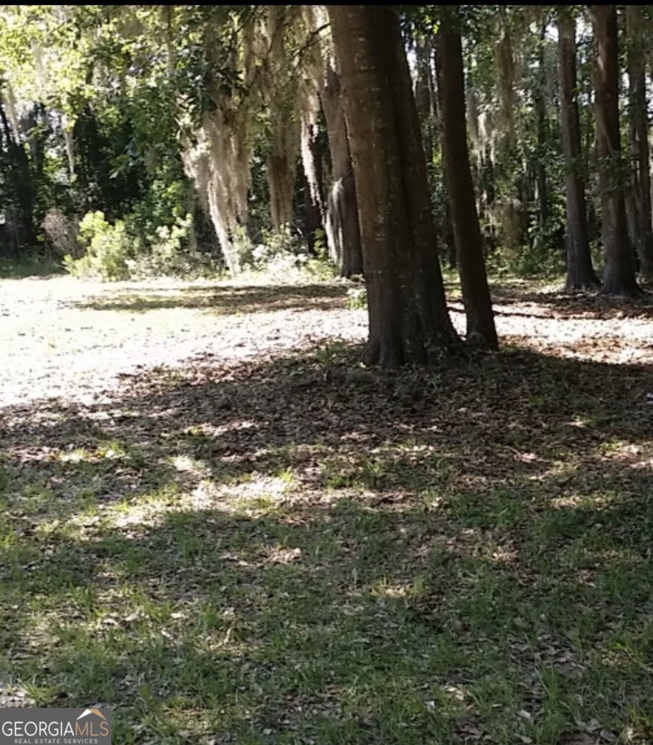 221 Turtle Drive Property Photo 2