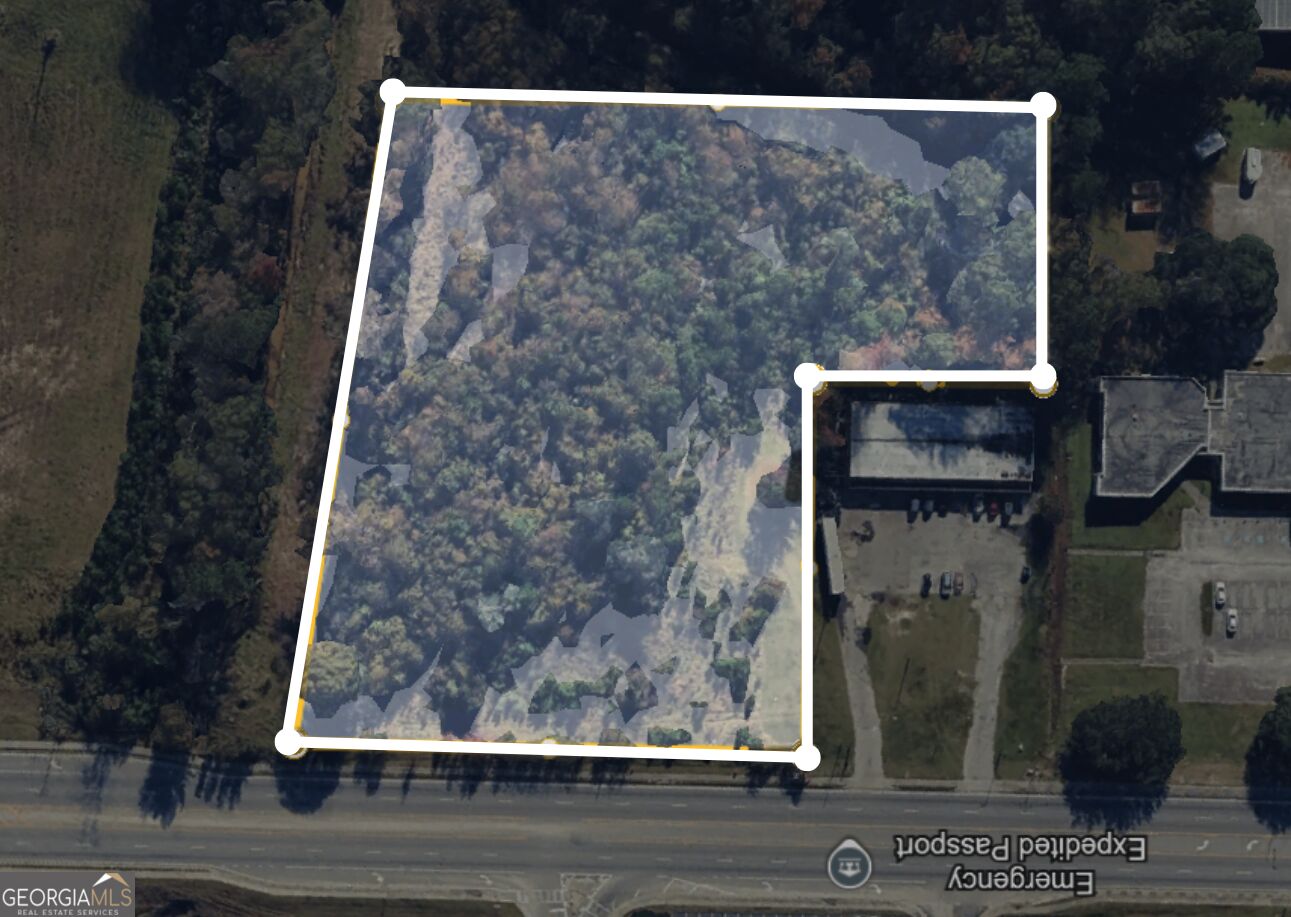 0 E Oglethorpe Highway Property Photo 1