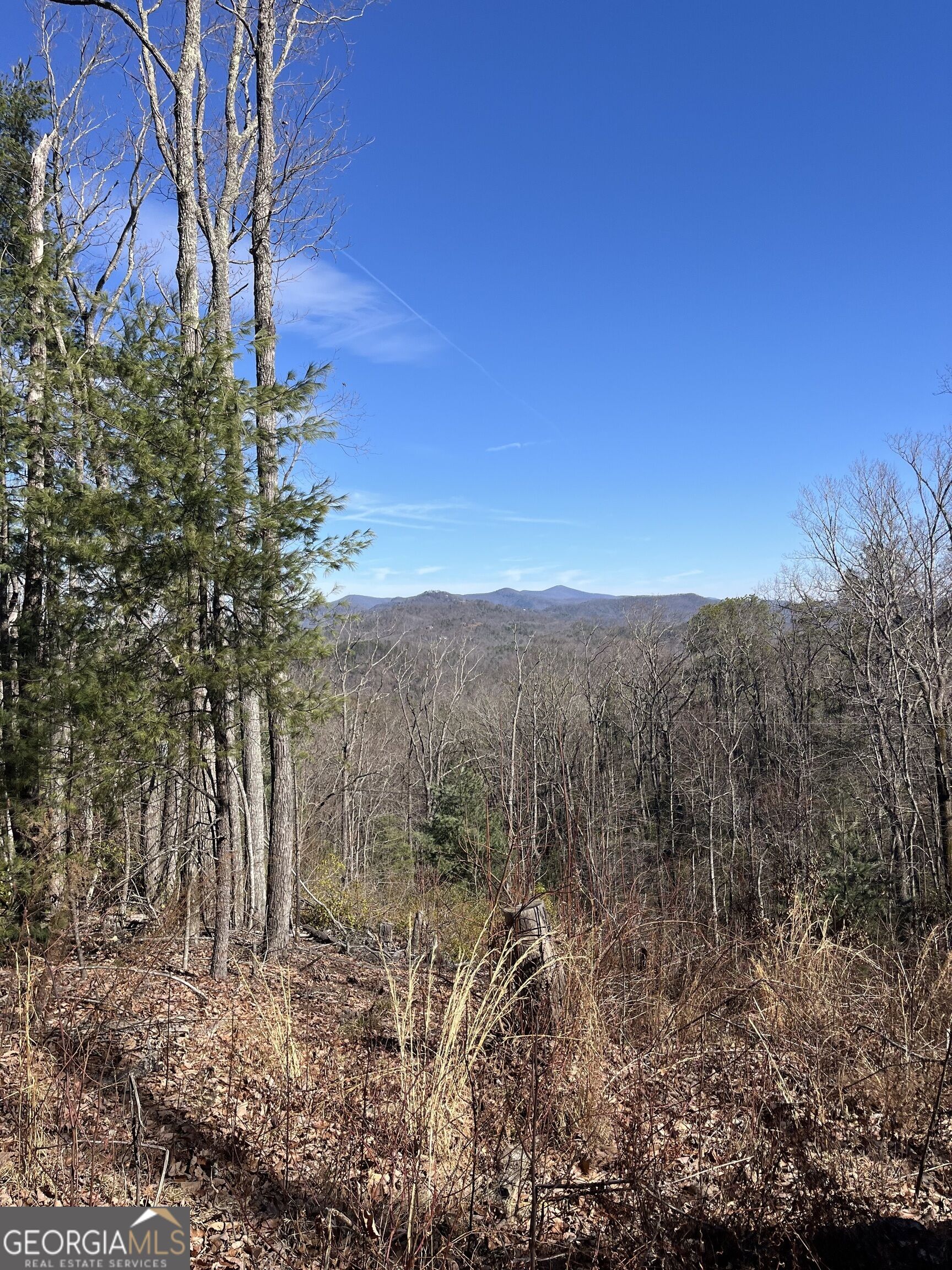0 Eastman Mtn Road Property Photo 1