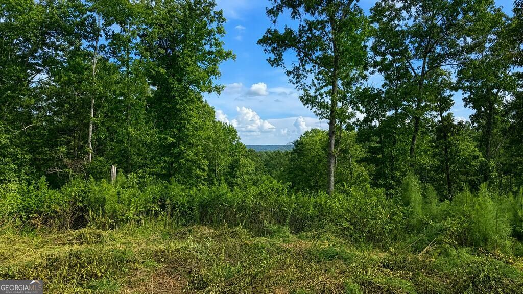 Lt 160 Shallow Water Trail Property Photo 3