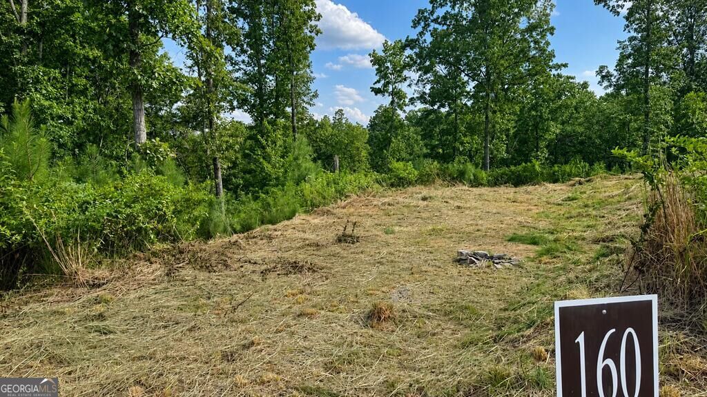 Lt 160 Shallow Water Trail Property Photo 4