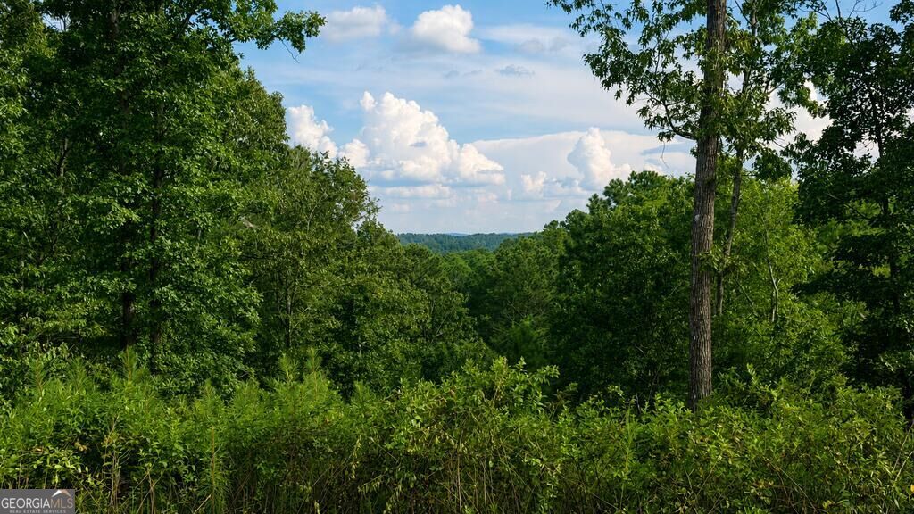 Lt 160 Shallow Water Trail Property Photo 5