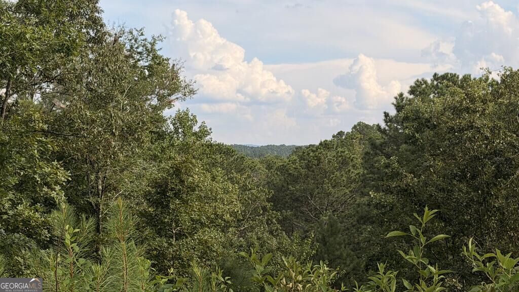 Lt 160 Shallow Water Trail Property Photo 6