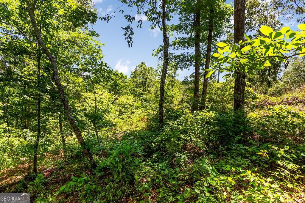 Lt 160 Shallow Water Trail Property Photo 7