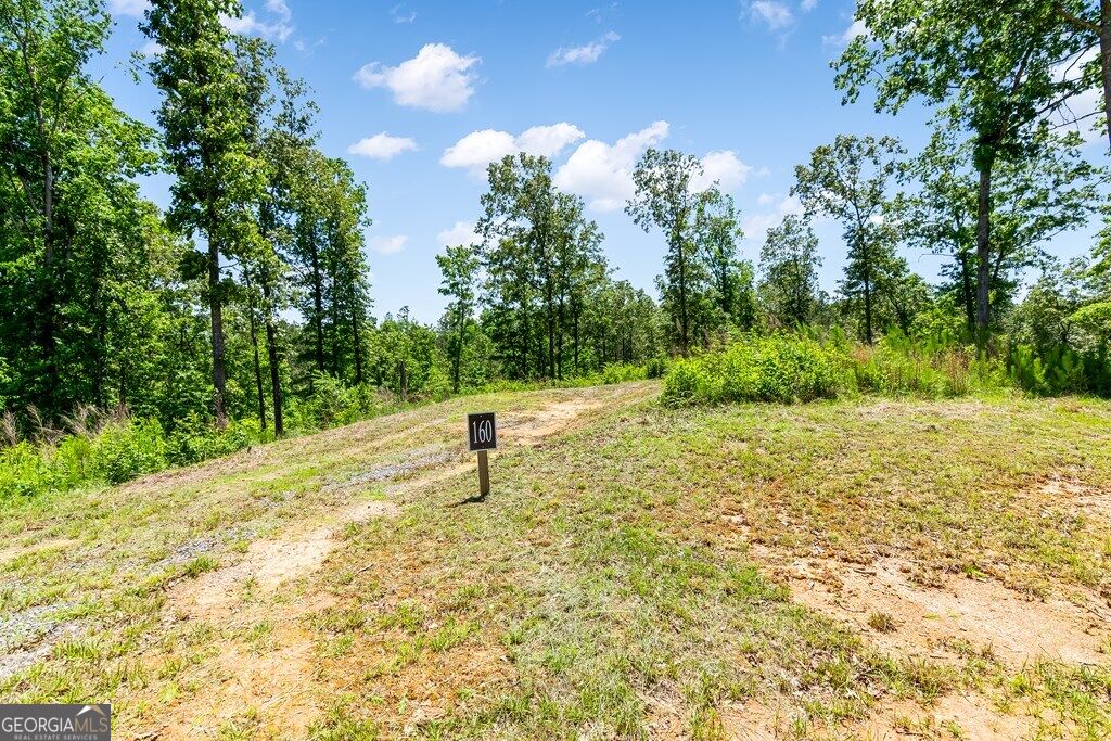 Lt 160 Shallow Water Trail Property Photo 9