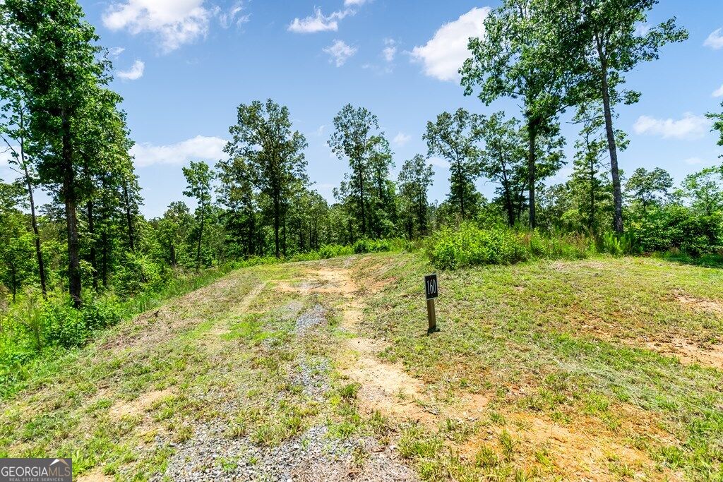 Lt 160 Shallow Water Trail Property Photo 10