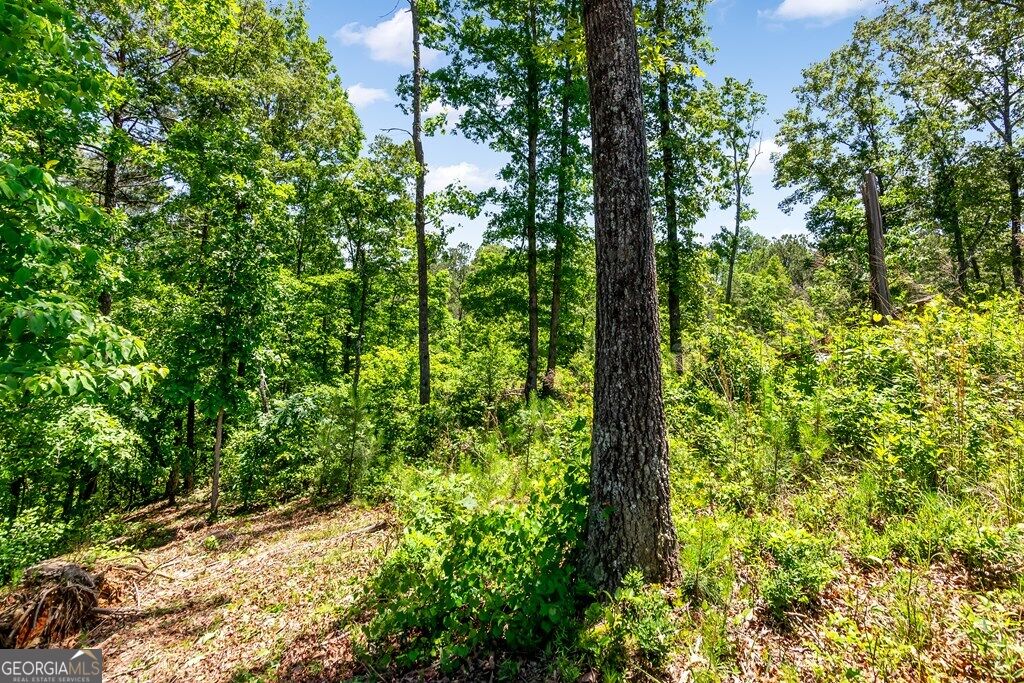 Lt 160 Shallow Water Trail Property Photo 11