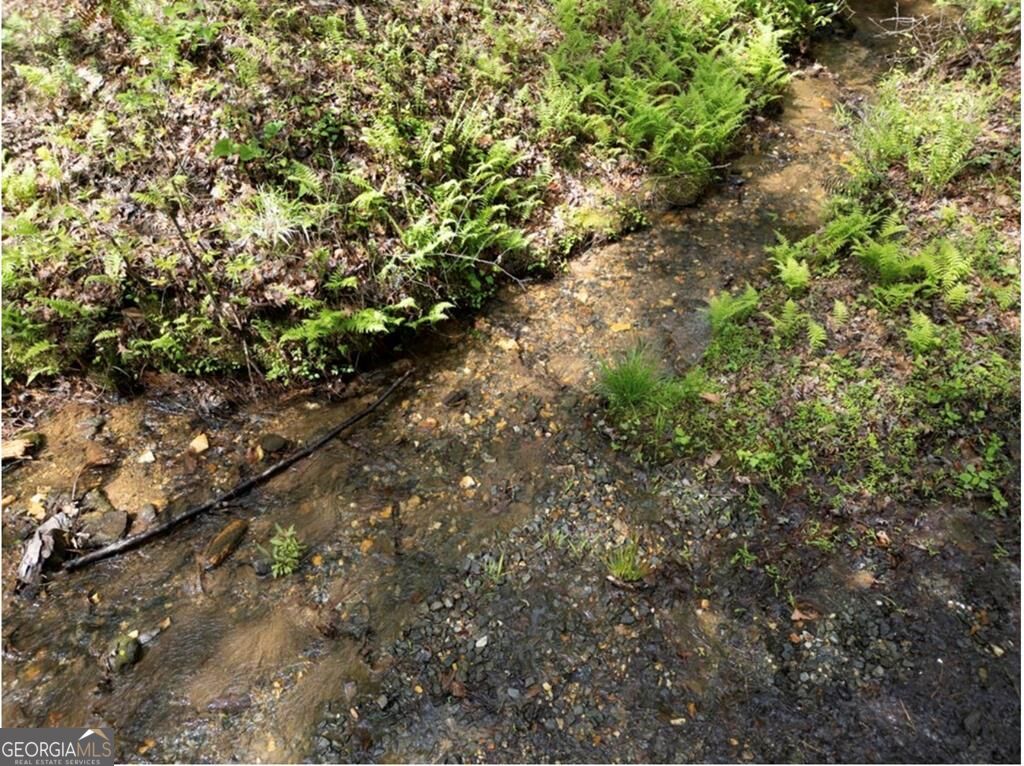 Lt 160 Shallow Water Trail Property Photo 12
