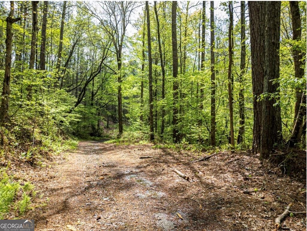 Lt 160 Shallow Water Trail Property Photo 13
