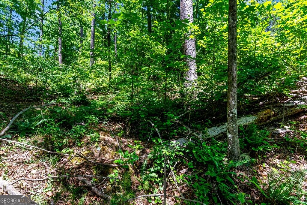 Lt 160 Shallow Water Trail Property Photo 14