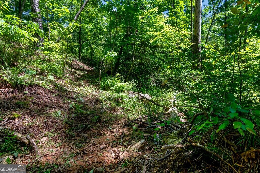 Lt 160 Shallow Water Trail Property Photo 15