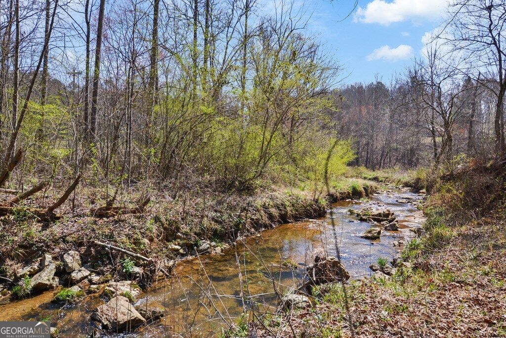 Lt 160 Shallow Water Trail Property Photo 23