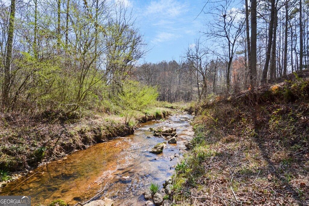 Lt 160 Shallow Water Trail Property Photo 24