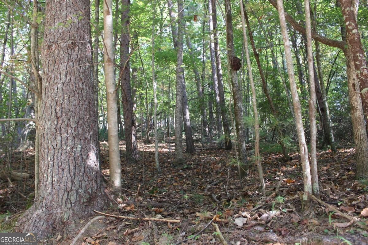 Lot 546 Satsuma North Court Property Photo 1