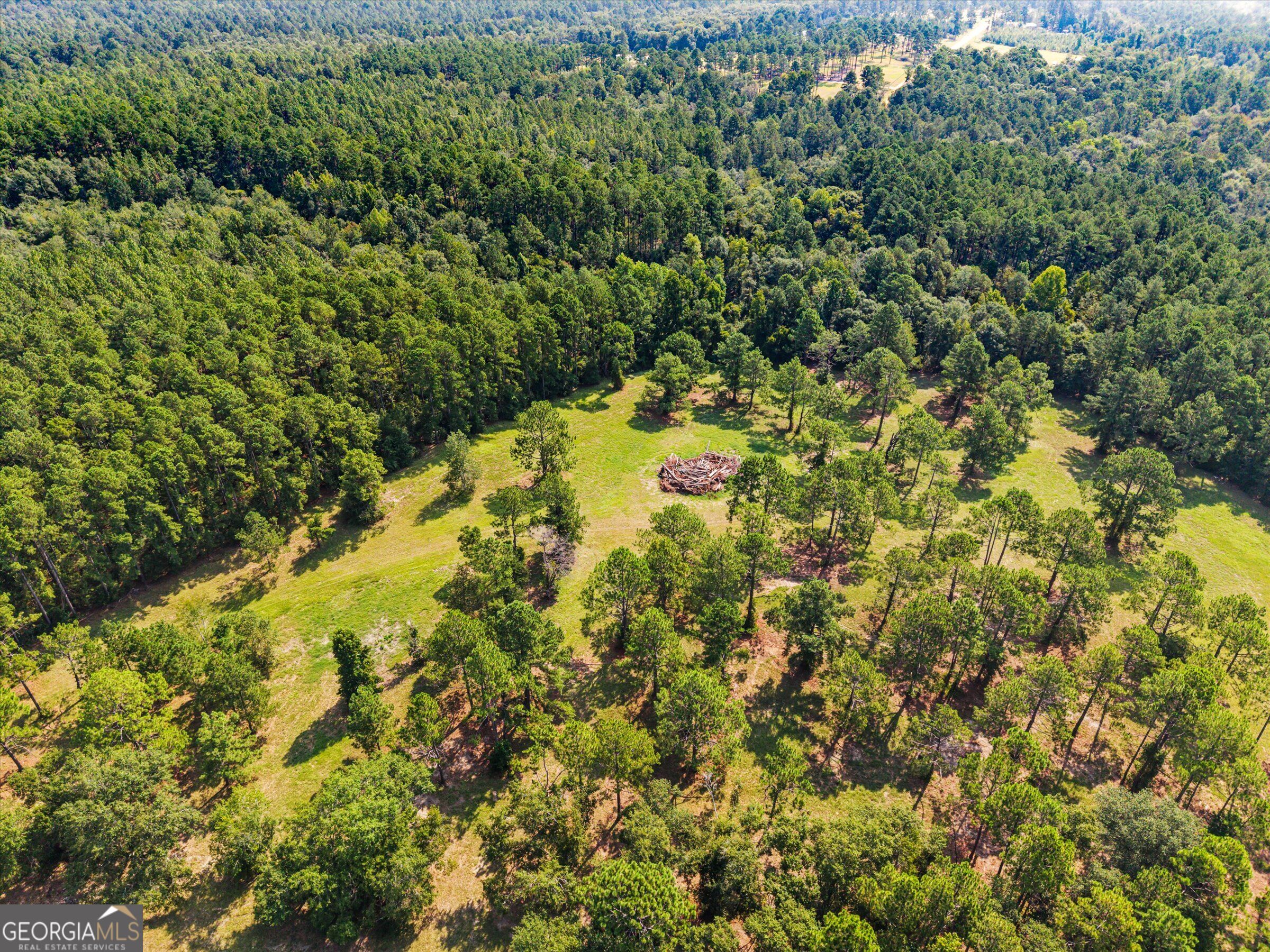 2224 Chainey Briar Rd Property Photo 46