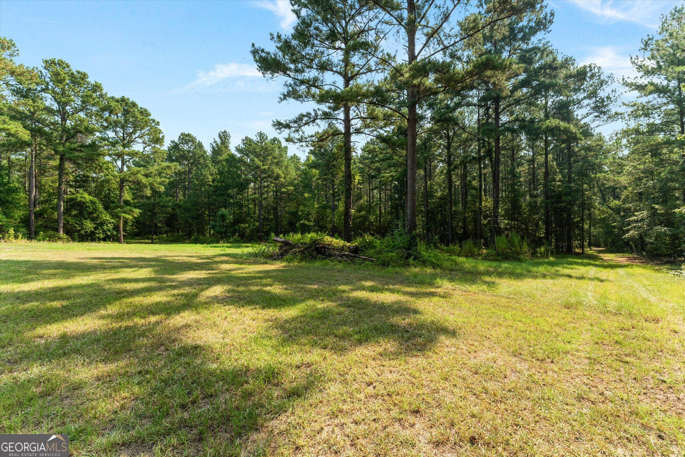 2224 Chainey Briar Rd Property Photo 131