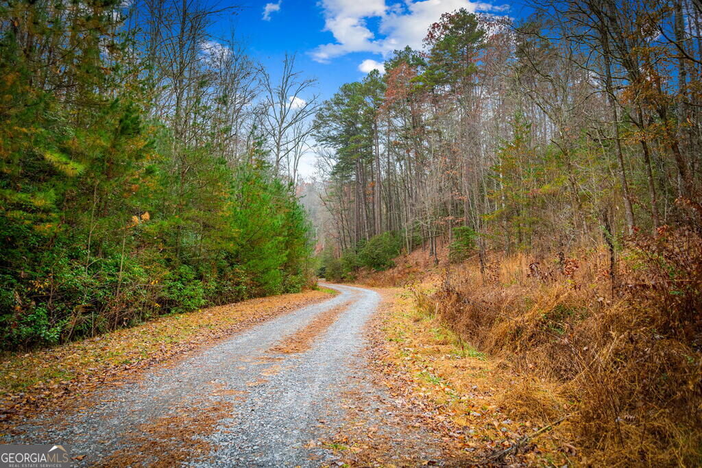 208 Bullen Gap Road Property Photo 51