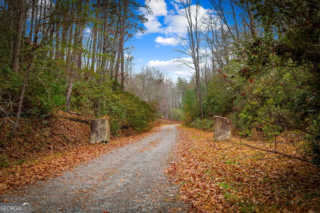 208 Bullen Gap Road Property Photo 55