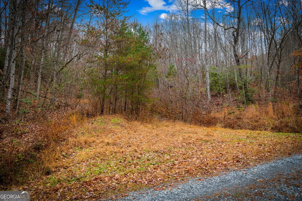 208 Bullen Gap Road Property Photo 57