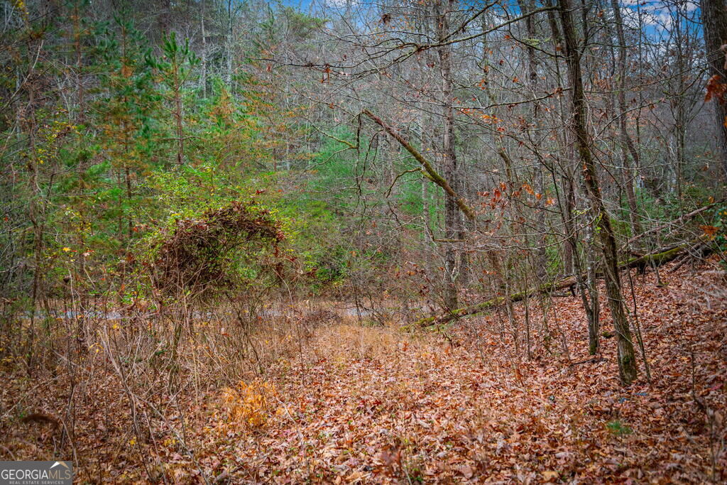 208 Bullen Gap Road Property Photo 59