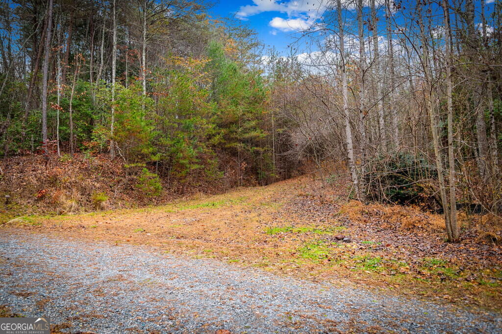 208 Bullen Gap Road Property Photo 64