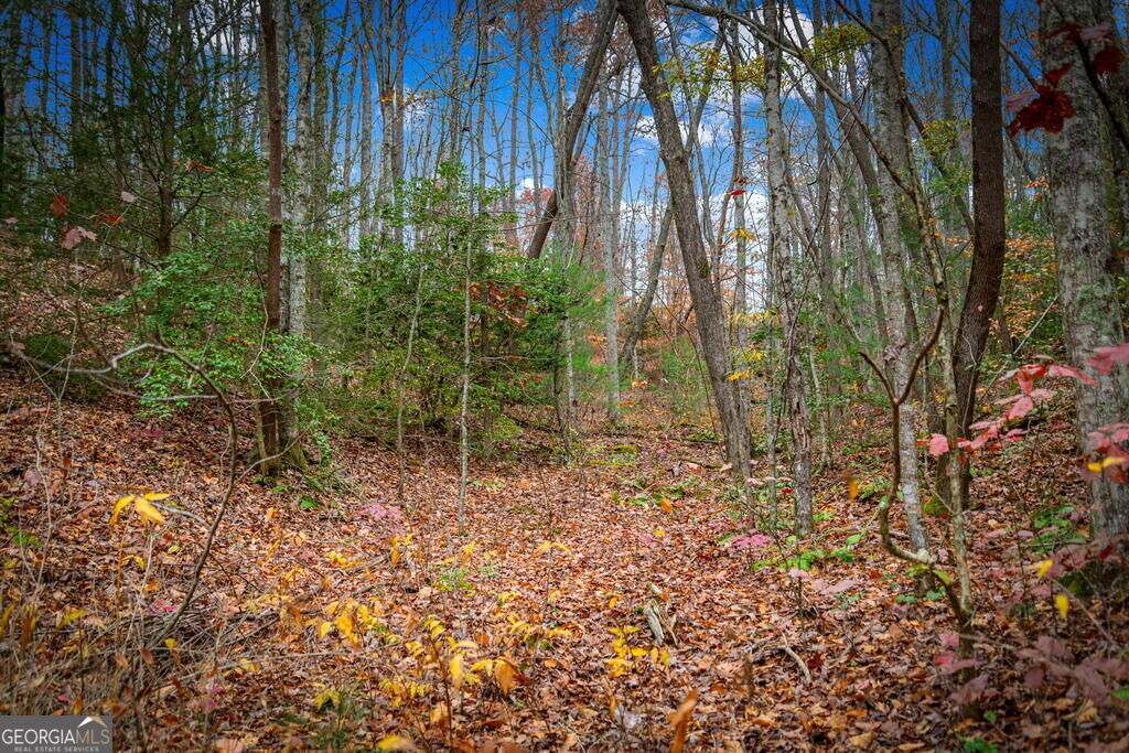 208 Bullen Gap Road Property Photo 67