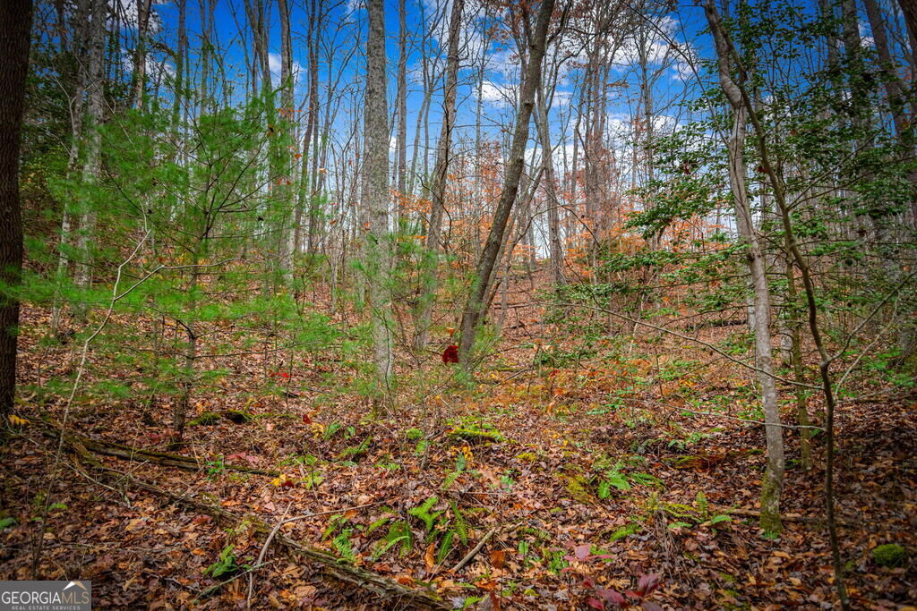 208 Bullen Gap Road Property Photo 68