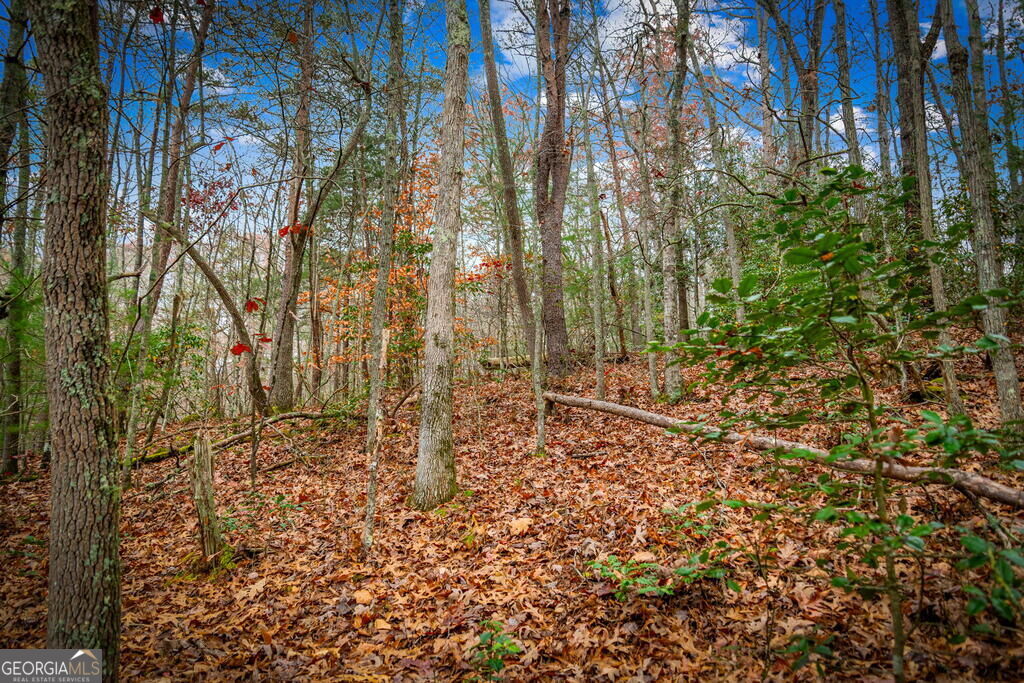 208 Bullen Gap Road Property Photo 69