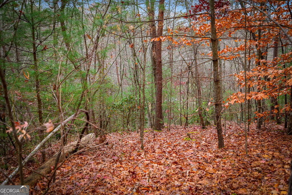 208 Bullen Gap Road Property Photo 70