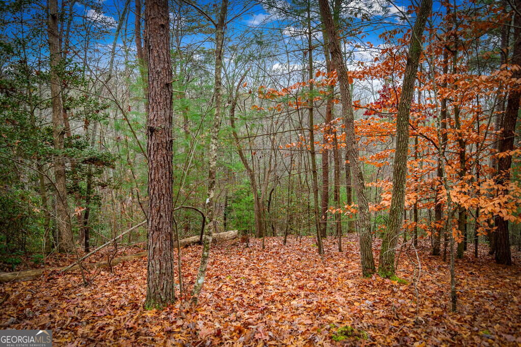 208 Bullen Gap Road Property Photo 71
