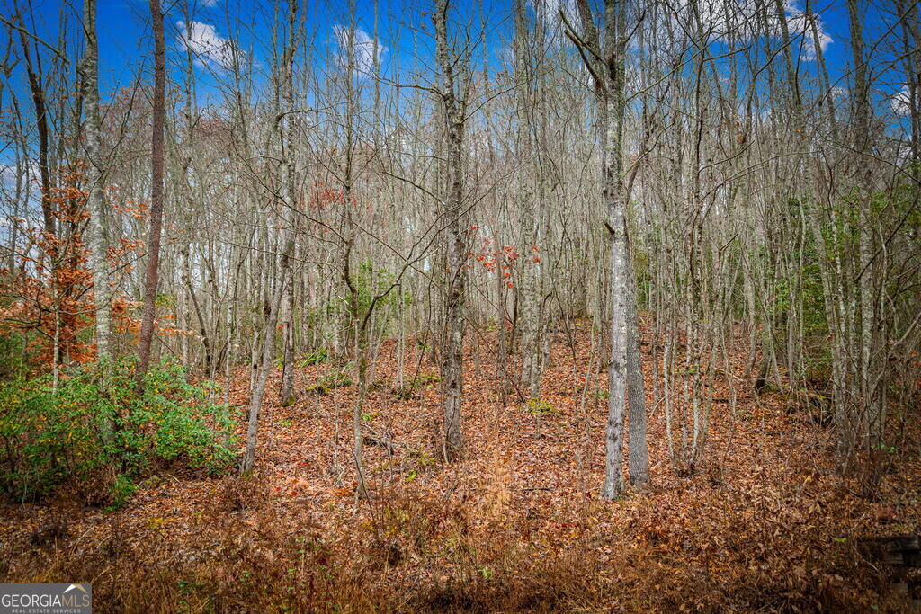 208 Bullen Gap Road Property Photo 72
