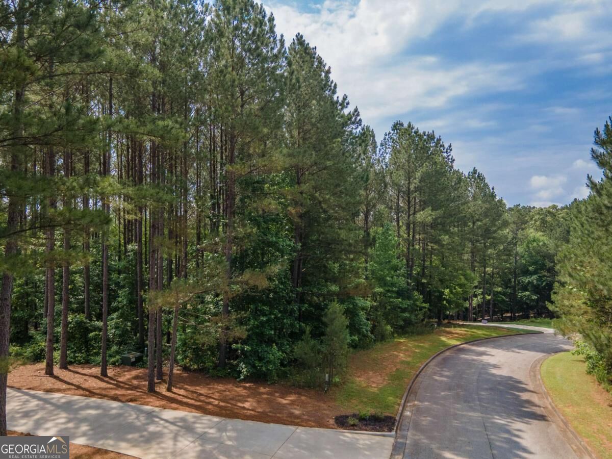 56 Firefly Run Property Photo 1