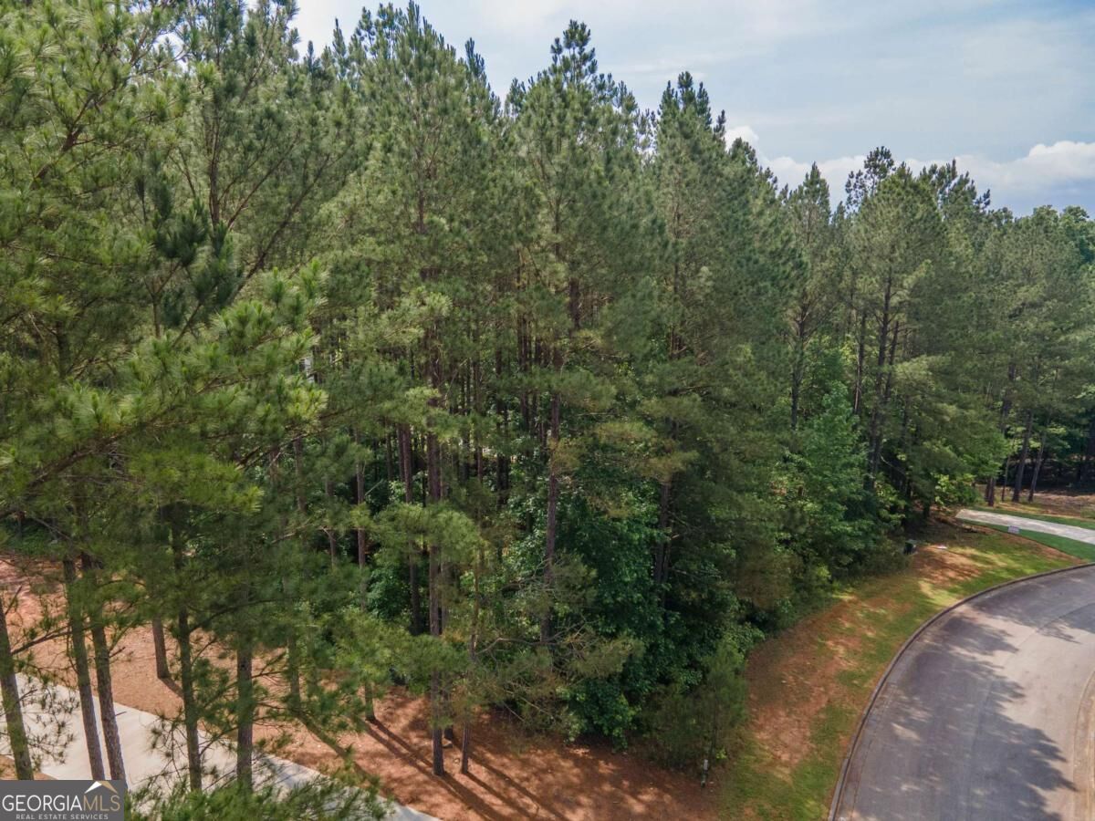 56 Firefly Run Property Photo 4